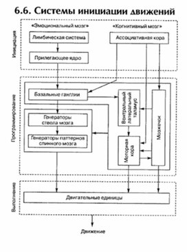 Обложка для материала материал по психофизиологии