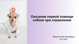 Обложка для материала Оказание первой помощи собаке при отравлении.