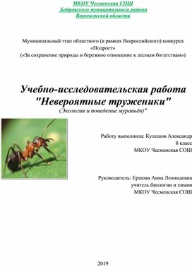 Исследовательская работа о жизнедеятельности и поведении муравьев