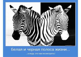 Обложка для материала Презентация к уроку по теме «Численное моделирование в электронных таблицах»