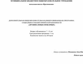 ДОПОЛНИТЕЛЬНАЯ ОБЩЕОБРАЗОВАТЕЛЬНАЯ ПРОГРАММА  «ДРУЖИНА ЮНЫХ ПОЖАРНЫХ»