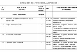 Рабочая программа по "Домоводству". СИПР, 7 год обучения