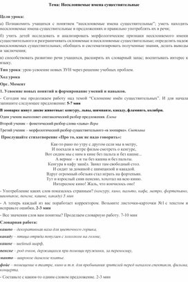 План конспект урока по русскому языку в 6 классе "Несклоняемые имена существительные "