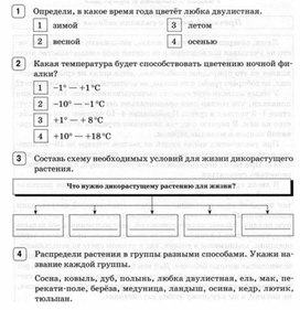 Обложка для материала окружающий мир 4 класс итоговая работа_1