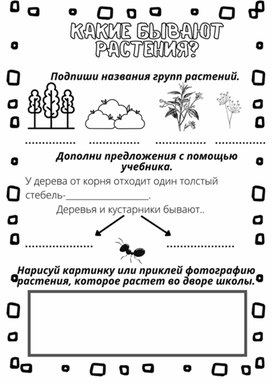 Рабочий лист к уроку окружающего мира по теме "Какие бывают растения", 2 класс, УМК "Школа России"