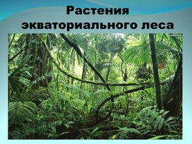 Презентация к уроку "Человек и мир" : Рсатения экваториального леса