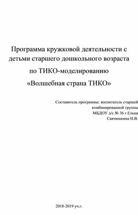 Программа кружковой деятельности с детьми старшего дошкольного возраста по ТИКО-моделированию "Волшебная страна ТИКО"