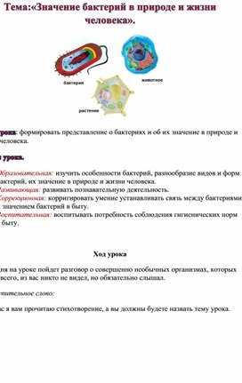 Обложка для материала Бактерии