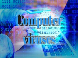 Computer viruses