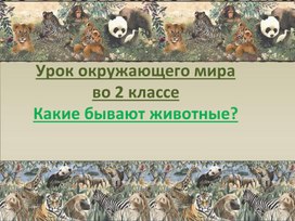 Урок окружающего мира во 2 классе "Какие бывают животные?"