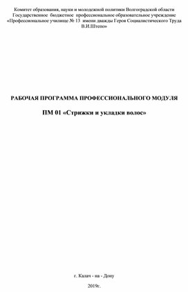 РАБОЧАЯ ПРОГРАММА ПРОФЕССИОНАЛЬНОГО МОДУЛЯ  ПМ 01 «Стрижки и укладки волос»