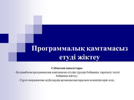 Обложка для материала 2Программалык камтамасыз ету_Презентация