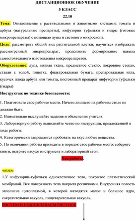 Обложка для материала Тема: Ознакомление с растительными и животными клетками: томата и арбуза (натуральные препараты), инфузории туфельки и гидры (готовые микропрепараты) с помощью лупы и светового микроскопа