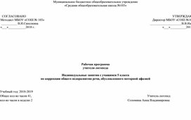 Рабочая программа коррекционно-развивающей работы с учащимся с заиканием