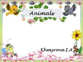 Animals