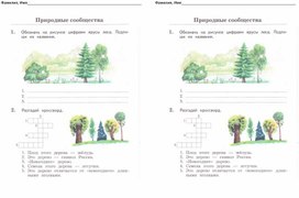 Лес и его обитатели рабочий лист