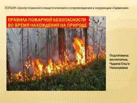 Презентация «Правила  Пожарной безопасности во время нахождения на природе»