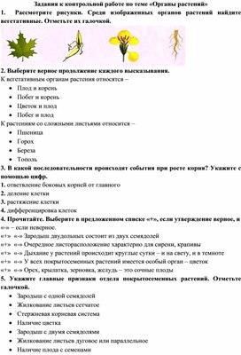 Задания к контрольной работе. Органы цветкового растения.