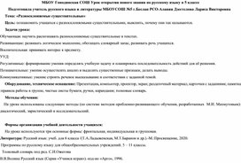 Урок русского языка по теме : "Разносклоняемые существительные " 5 класс