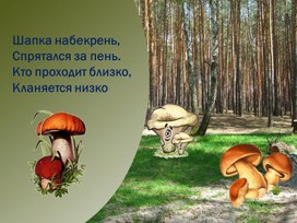 Урок окружающего мира во 2 классе на Тему: «Грибы. проект «в царстве грибов»