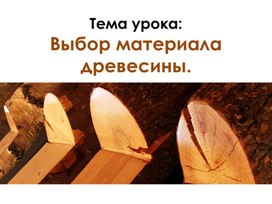 Обложка для материала Презентация к уроку учебной практики на тему: "Выбор материала древесины"