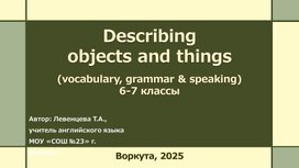Обложка для материала Describing objects & things, 6-7 классы
