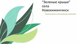 Обложка для материала Проектная деятельность "Зеленые крыши села Новокижингинск - рациональное использование самосевов"