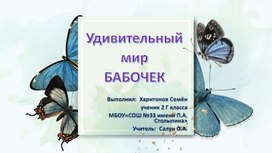 ПРОЕКТ "уДИВИТЕЛЬНЫЙ МИР БАБОЧЕК"