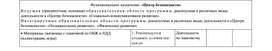 Функциональное назначение : "Центр безопасности"