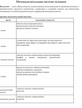 Обложка для материала Мочевыделительная система человека