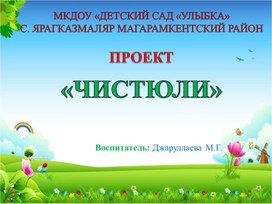 Обложка для материала Проект «ЧИСТЮЛИ»