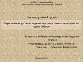 Выращивание урожая сладкого перца в условиях защищенного грунта Сибири