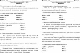 Обложка для материала правописаниежи ши
