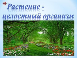 Презентация по естествознанию на тему "Растение - целостный организм" (7 класс)                    - целостный организм"