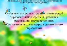 Основные  аспекты  создания  развивающей  образовательной  среды  в  условиях  реализации ГОСДО