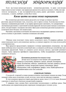 Обложка для материала Полезная информация Влияние комнатных растенй на жизнь человека