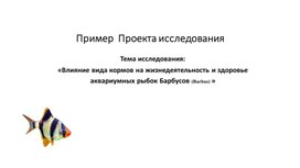 Обложка для материала "Пример Проекта исследования"