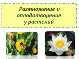 "Размножение и оплодотворение растений"