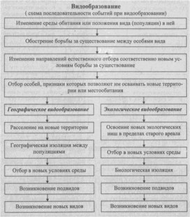 Материал к урокам  биологии