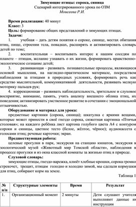 Обложка для материала Урок по ОЗМ "Сорока, синица - зимующие птицы"