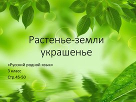 Презентация учебная "Растенье- земли украшенье" к стр.45-50 учебника "Русский родной язык. 3 класс