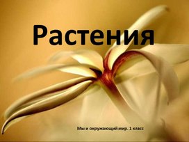 Обложка для материала Презентация по окружающему миру 1 класс "Растения"