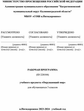 Рабочая программа по окружающему миру