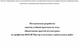 Методическая разработка занятия учебной практики на тему "Выполнение простой штукатурки" по профессии 08.01.08 Мастер отделочных строительных работ