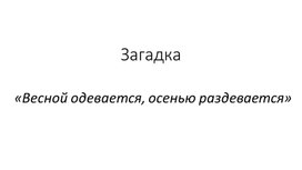 Презентация "Стыдно перед соловушкой"