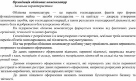 Організація облікових номенклатур . Загальна характеристика