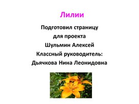 Лилии. Цветы