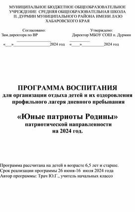 Программа воспитания "Юные патриоты Родины" для организации  отдыха детей и их оздоровления в профильном лагере дневного пребывания