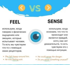 Раздаточный материал по английскому языку ( 5-6 класс)