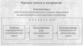 Материал к урокам  биологии